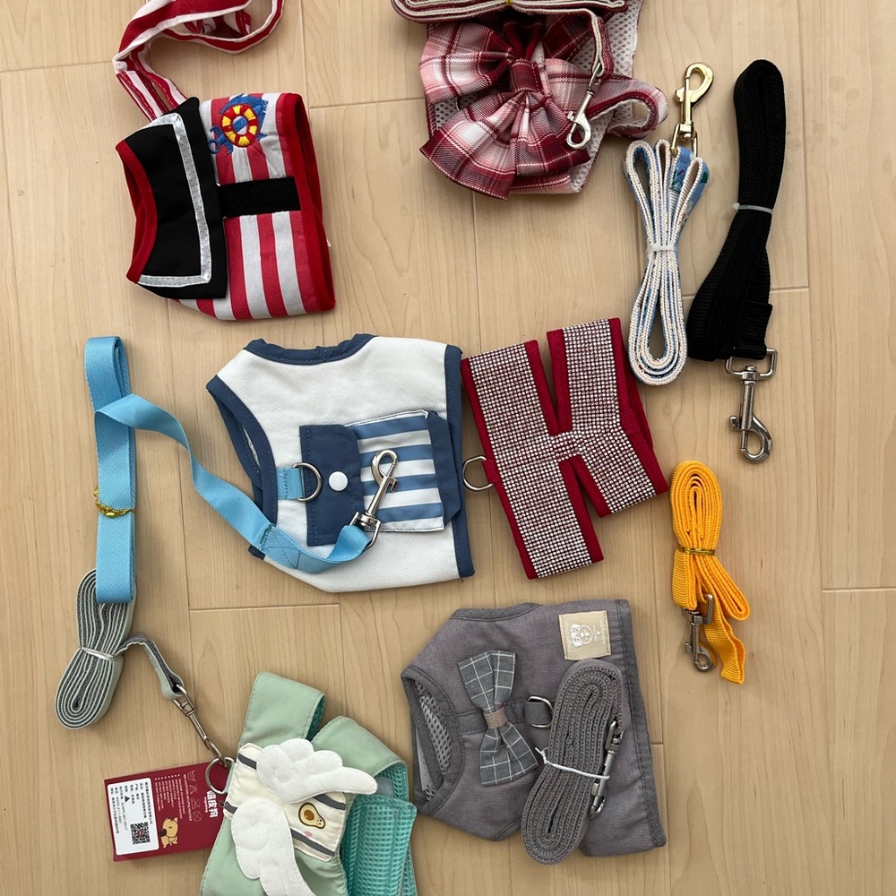 Dog Harness and Leash Bundle